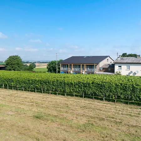 Winzerhof Schmid Apartman